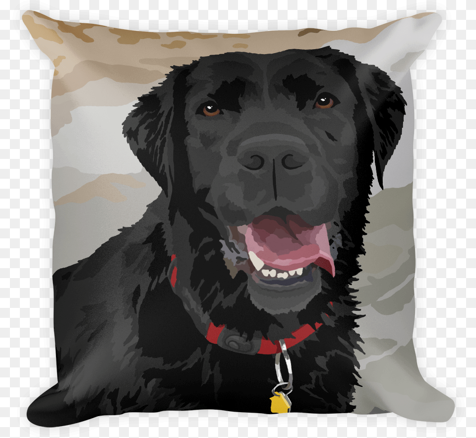 Square Pillowclass Lazyload Lazyload Fade In Cloudzoom Labrador Retriever, Cushion, Home Decor, Animal, Canine Free Png