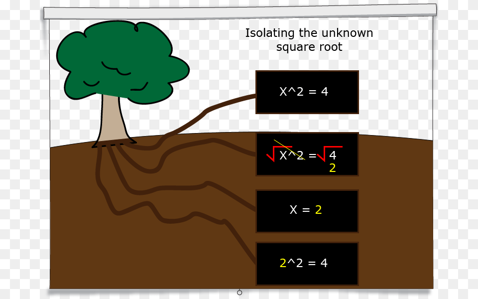 Square Root, Animal, Bear, Mammal, Wildlife Png