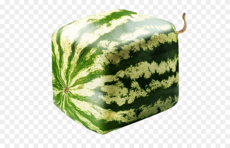 Square Watermelon, Food, Fruit, Plant, Produce Free Png Download