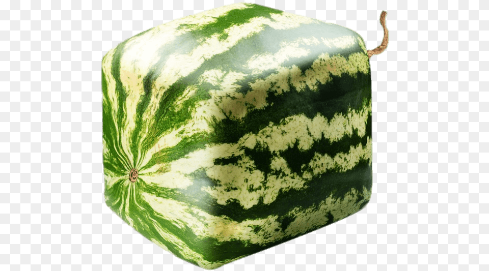 Square Watermelon Square Watermelon Cut In Half, Food, Fruit, Plant, Produce Free Png