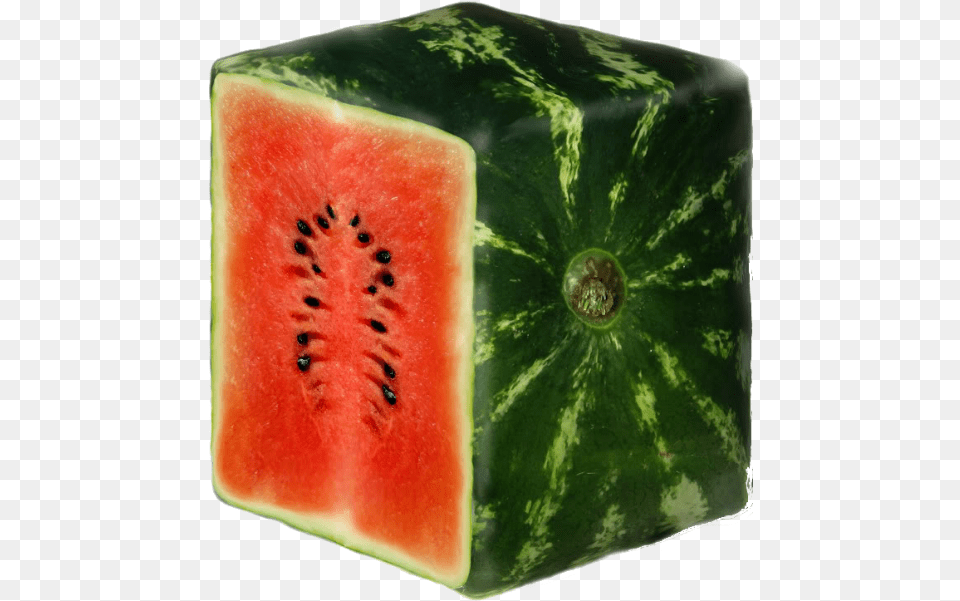 Square Watermelons, Food, Fruit, Plant, Produce Png Image