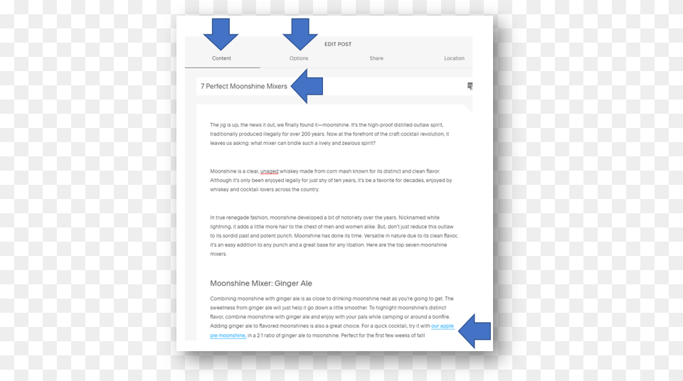 Squarespace Blogs 5 Basic Tips For Publishing Root U0026 Branch Document, Page, Text, Computer, Electronics Png