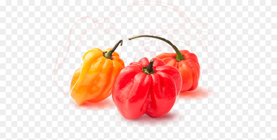 Squash, Bell Pepper, Food, Pepper, Plant Free Png