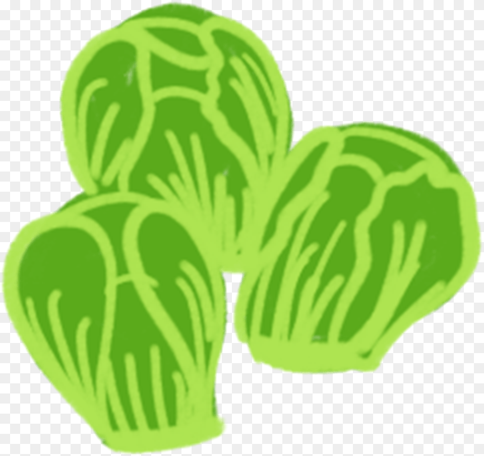 Squash, Food, Produce, Leafy Green Vegetable, Plant Png Image