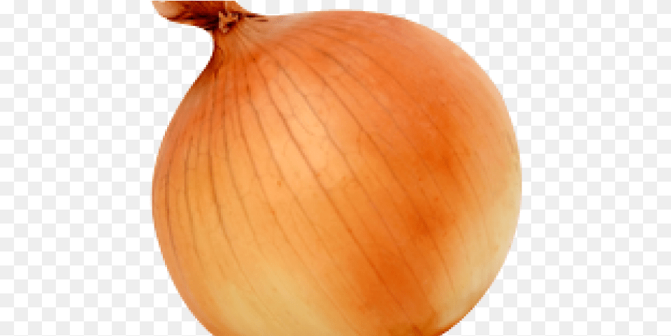 Squash, Food, Onion, Plant, Produce Png