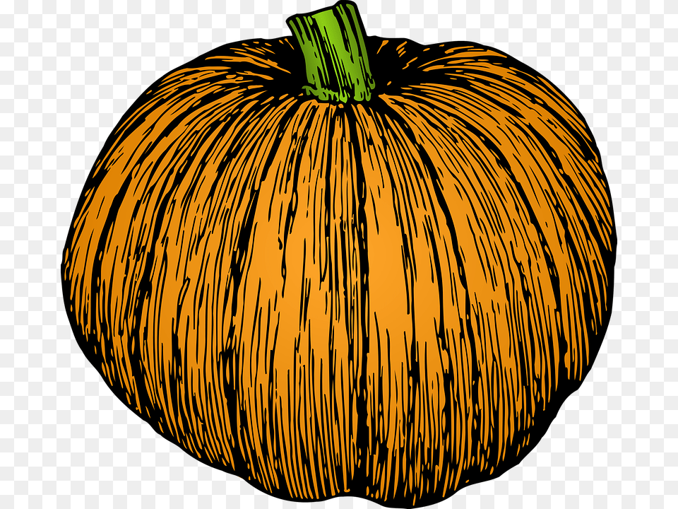 Squash Images Black And White Pumpkin Drawing, Food, Plant, Produce, Vegetable Png Image