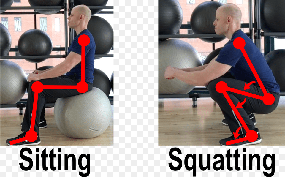 Squatting Vs Sitting Spine, Working Out, Squat, Sport, Fitness Png