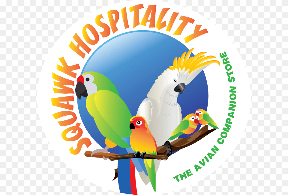 Squawk Hospitality Never Mind The Dog Beware, Animal, Bird, Parrot Free Png Download