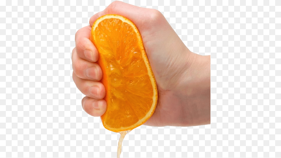 Squeezed Orange, Citrus Fruit, Food, Fruit, Grapefruit Free Transparent Png