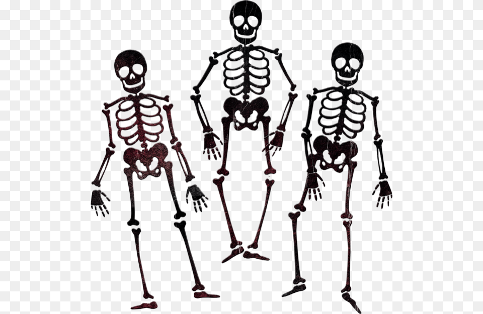 Squelettes Dessin Tube Skeleton Black And White, Person, Head, Face Free Transparent Png