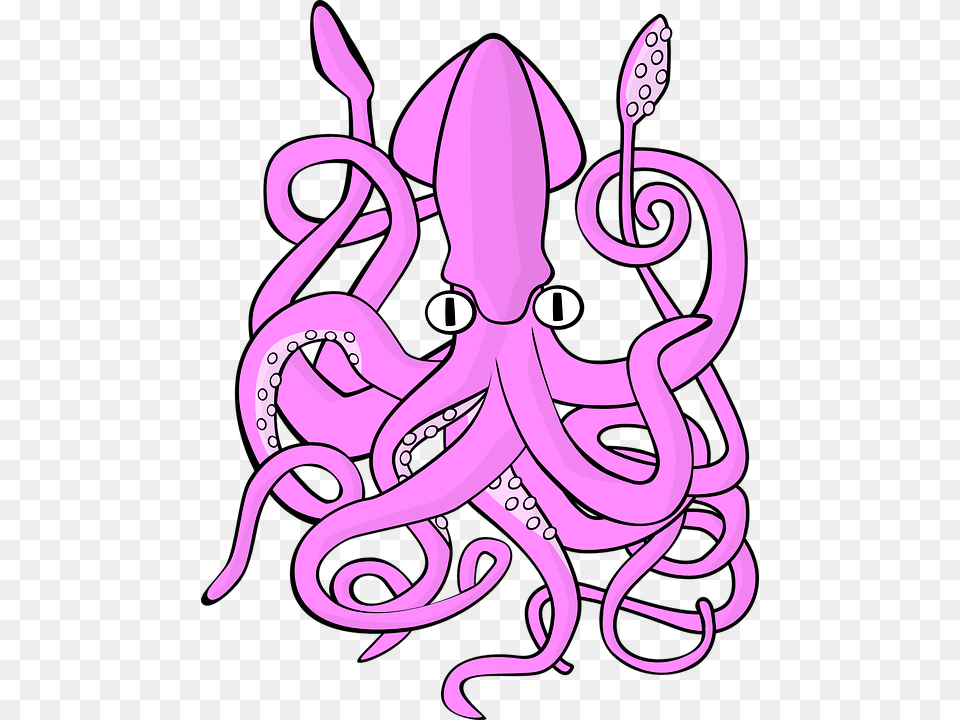 Squid, Animal, Sea Life Free Png