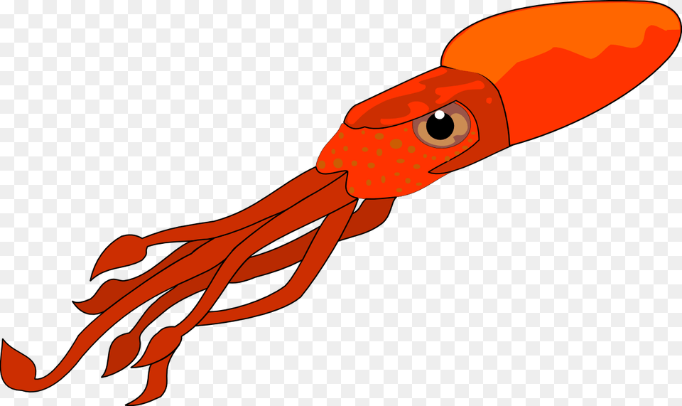 Squid, Food, Seafood, Animal, Sea Life Free Png