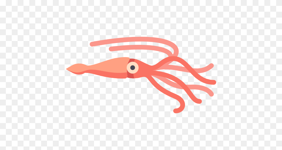 Squid, Food, Seafood, Animal, Sea Life Free Transparent Png