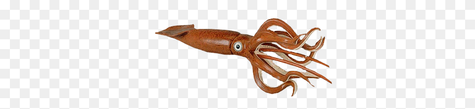 Squid, Food, Seafood, Animal, Sea Life Free Png