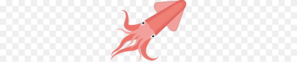 Squid, Animal, Food, Sea Life, Seafood Free Png