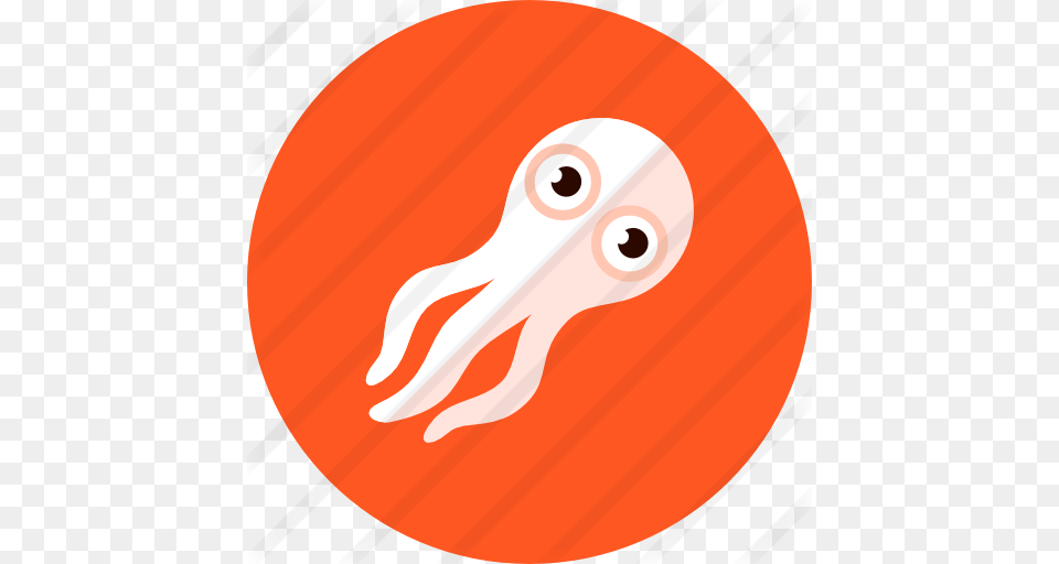 Squid, Leisure Activities, Person, Sport, Swimming Free Png Download