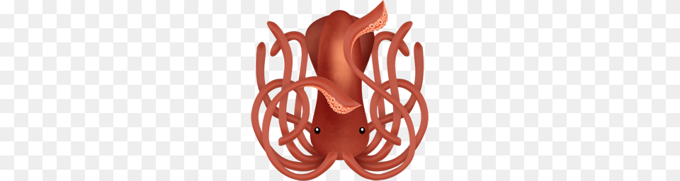 Squid Png Image