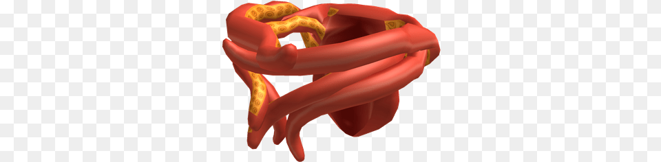 Squid Beard Squid, Food Png Image