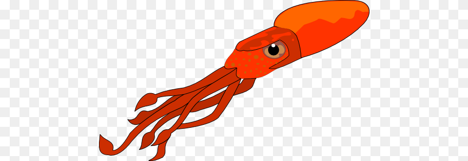 Squid Clip Art, Food, Seafood, Animal, Sea Life Free Png