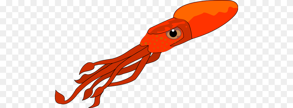 Squid Clip Art, Food, Seafood, Animal, Sea Life Free Transparent Png