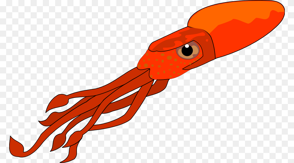 Squid Clip Art, Food, Seafood, Animal, Sea Life Free Transparent Png