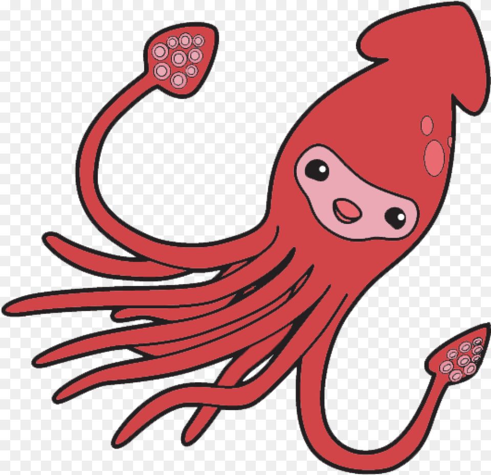 Squid Clip Art Clipart Cute Squid Background, Animal, Sea Life, Food, Seafood Free Transparent Png