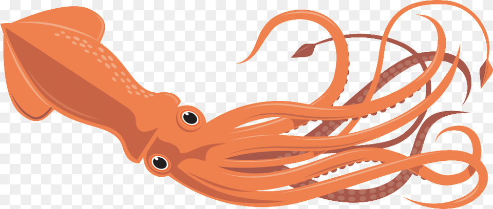 Squid Clipart, Animal, Food, Sea Life, Seafood Free Png Download