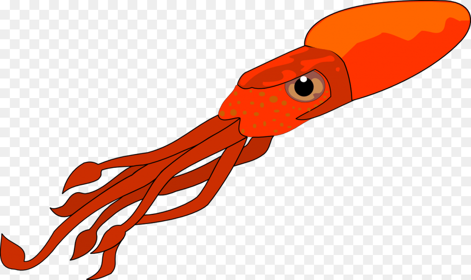 Squid Clipart, Food, Seafood, Animal, Sea Life Free Transparent Png