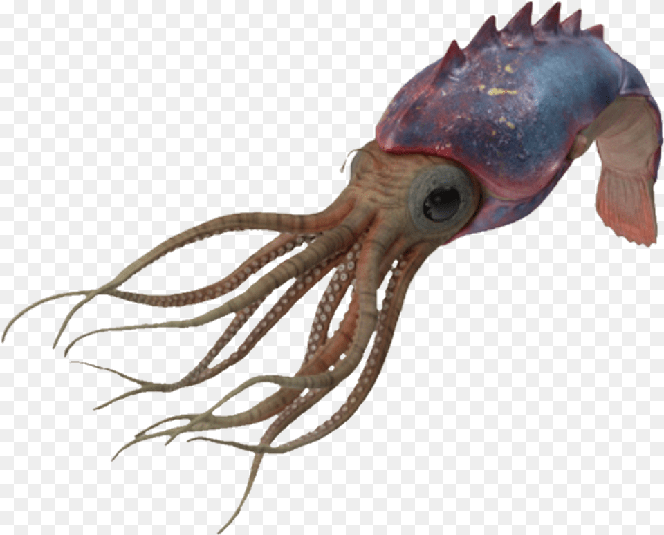 Squid Ocean Fish Underthesea, Animal, Sea Life, Food, Seafood Free Png Download