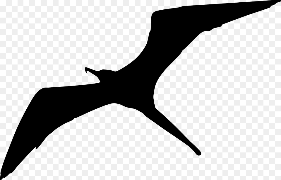 Squid Silhouette, Animal, Bird, Flying, Beak Png