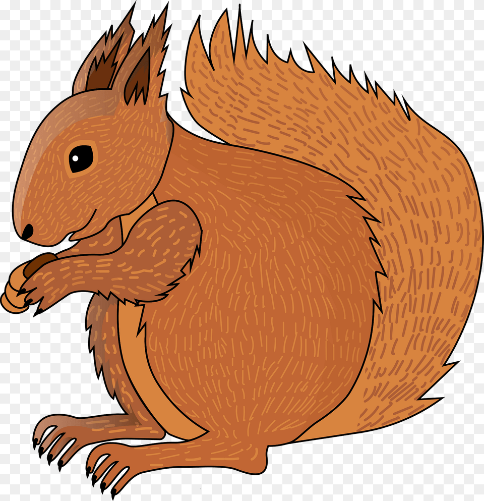 Squirell Clipart, Animal, Mammal, Rodent, Squirrel Png