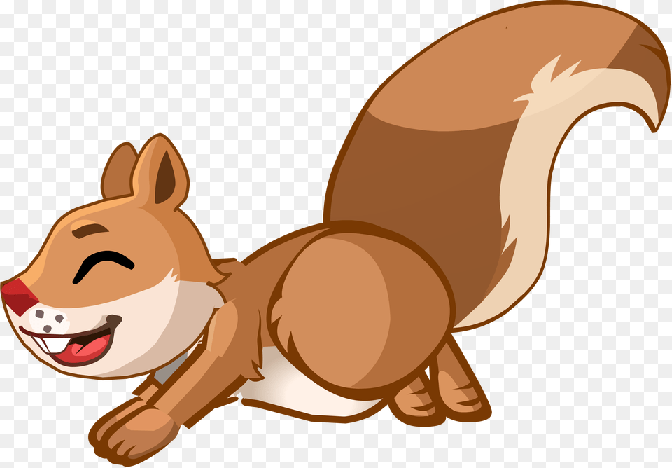 Squirrel, Animal, Mammal, Face, Head Png