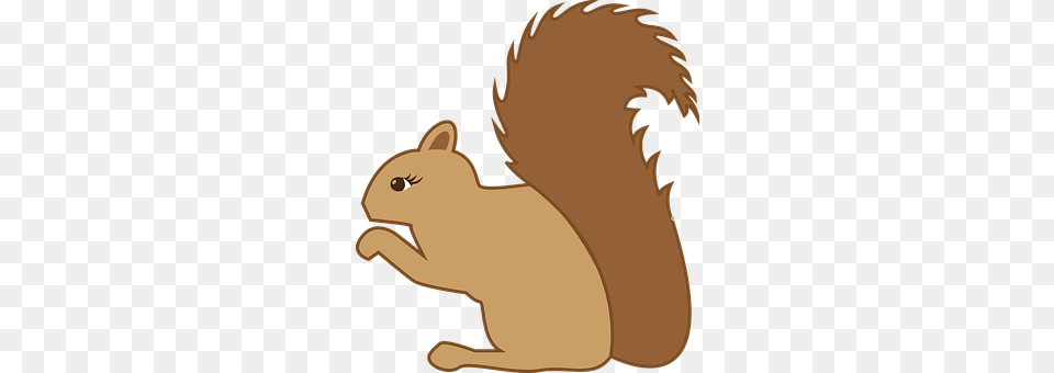 Squirrel Animal, Mammal, Rodent, Baby Free Png Download