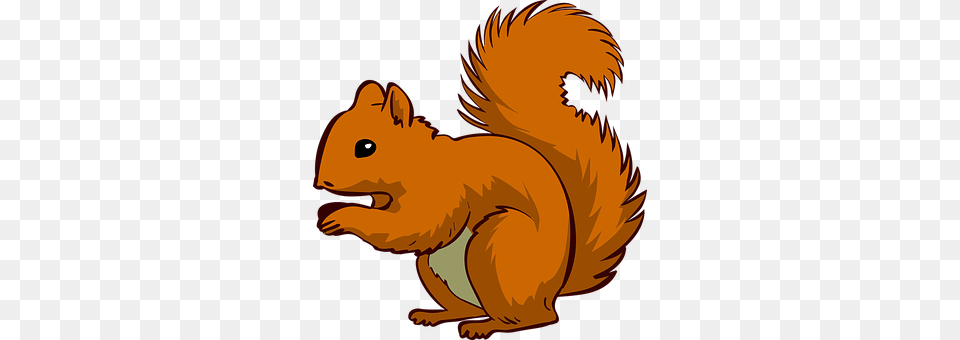 Squirrel Animal, Mammal, Rodent, Baby Free Png Download