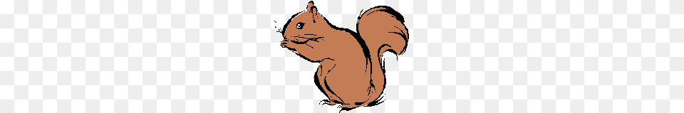 Squirrel, Baby, Person, Animal, Mammal Free Transparent Png