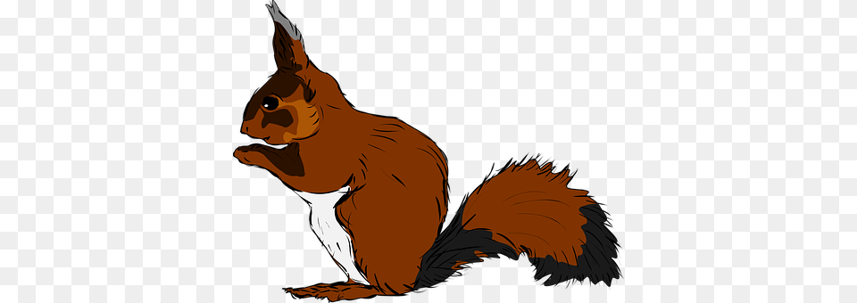 Squirrel Adult, Person, Man, Male Free Png