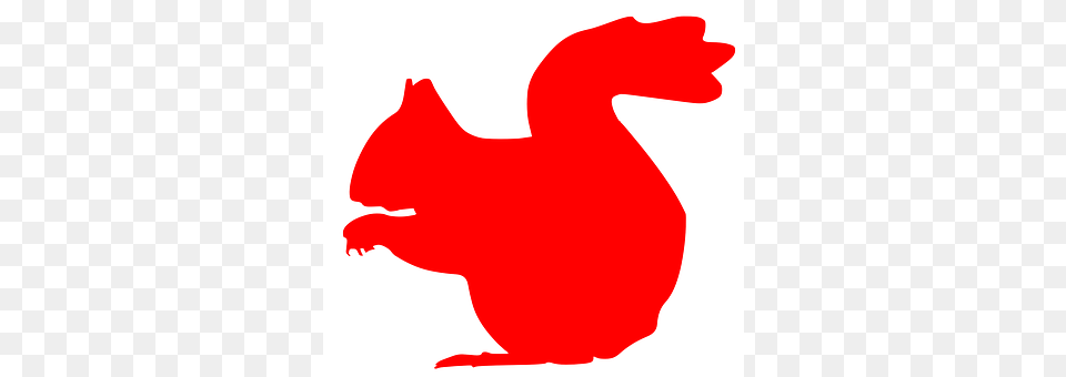 Squirrel Food, Ketchup, Animal, Mammal Png Image