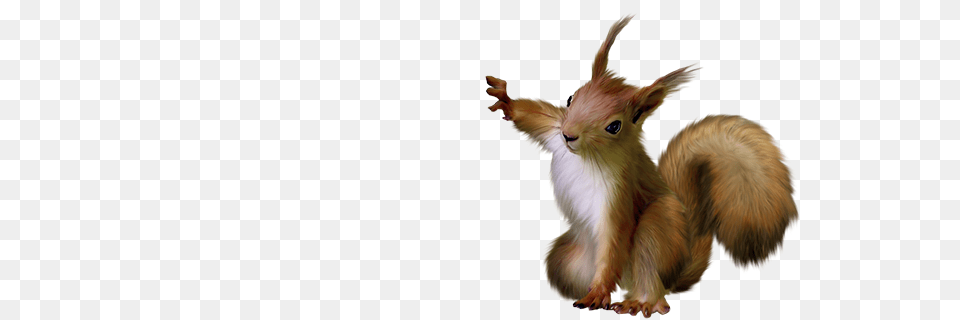 Squirrel, Animal, Mammal, Rodent Png