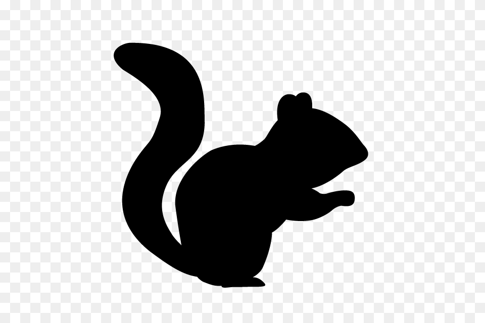 Squirrel Animal Silhouette Illustrations, Gray Free Png Download