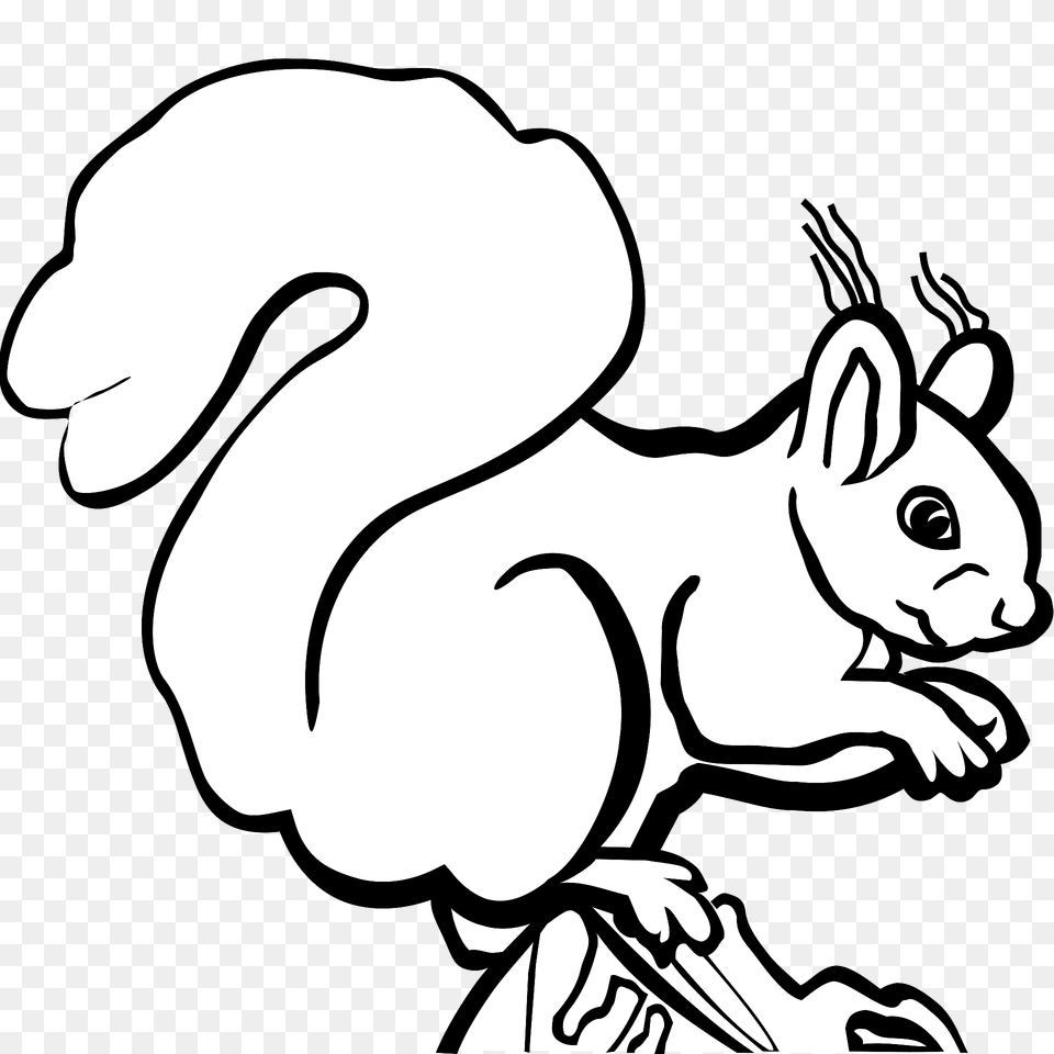 Squirrel Black And White Clipart, Animal, Mammal, Rodent, Kangaroo Free Transparent Png