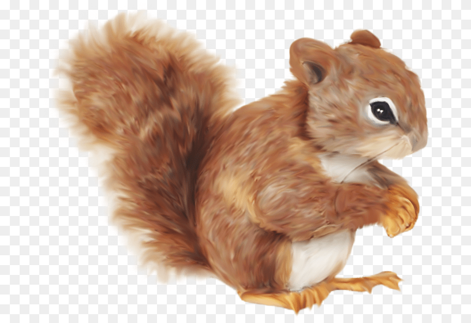 Squirrel Cartoon Clip Art Color Dibujos De Una Ardilla, Animal, Bird, Chicken, Fowl Png Image