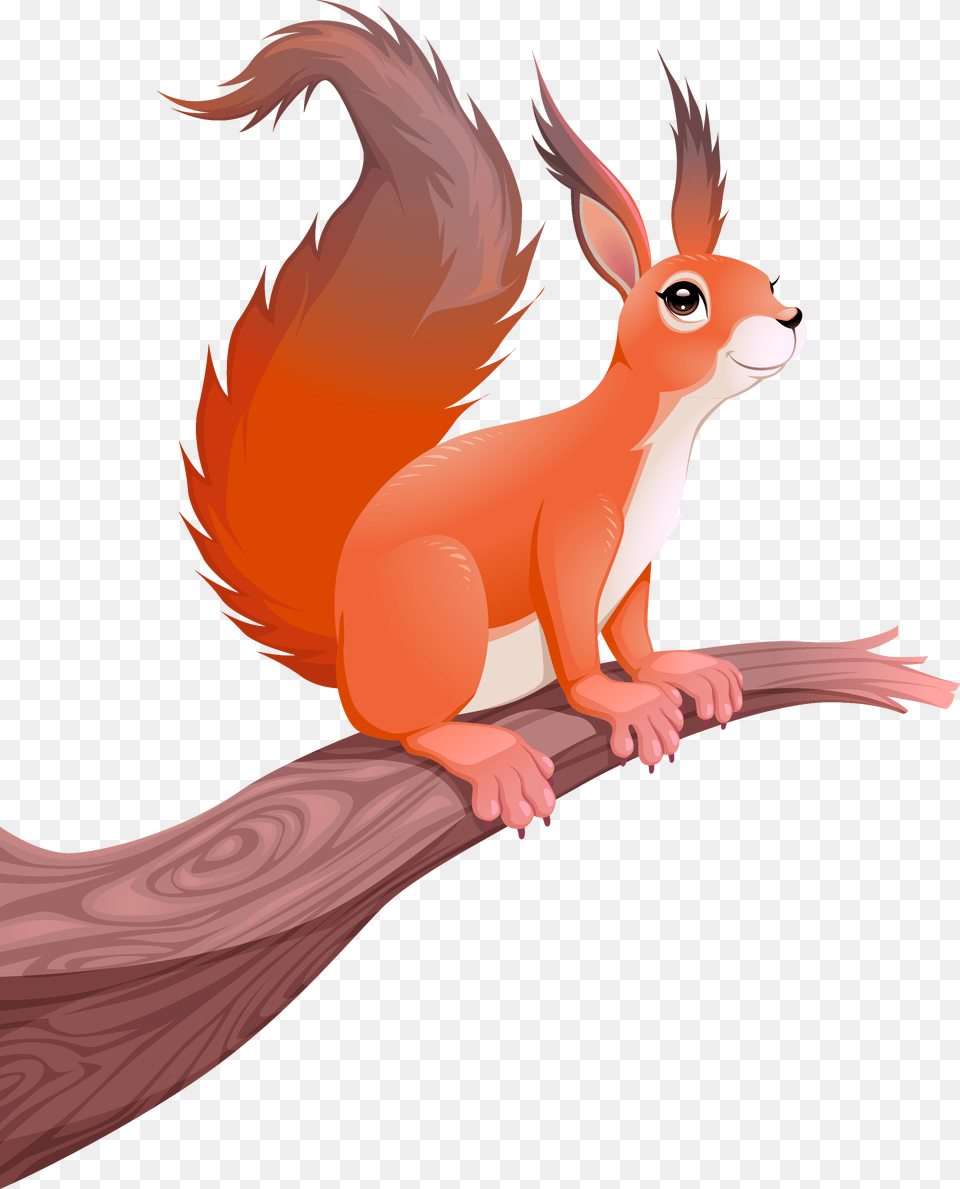 Squirrel Cartoon Photography Illustration Transparent Squirrel Cartoon, Animal, Mammal, Rodent, Fish Free Png Download