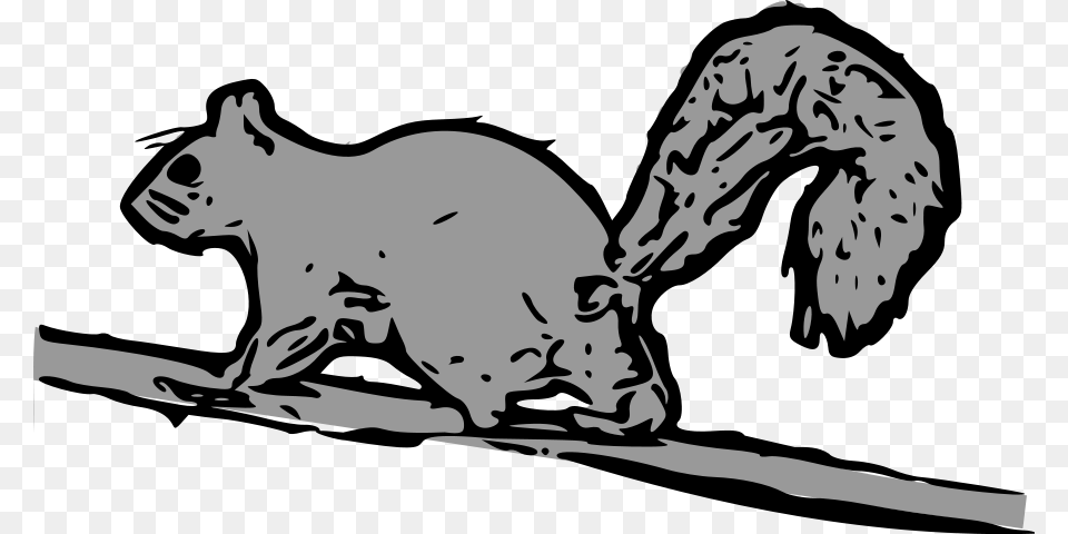 Squirrel Clipart, Stencil, Baby, Person, Adult Png Image