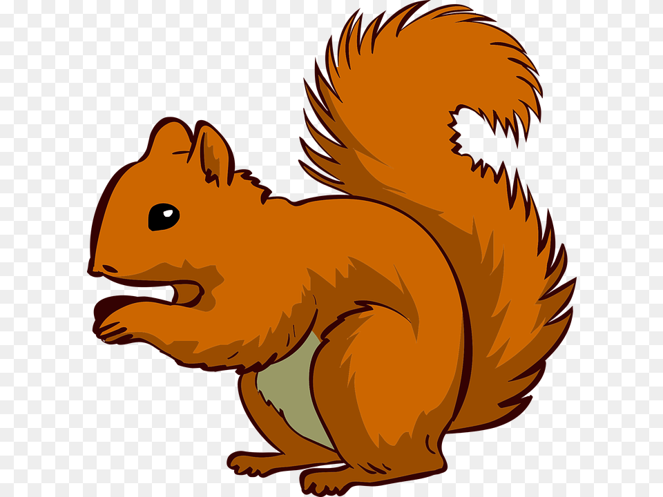 Squirrel Clipart, Animal, Mammal, Rodent, Baby Png Image