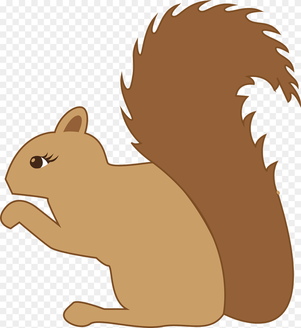 Squirrel Clipart, Animal, Mammal, Rodent Free Png