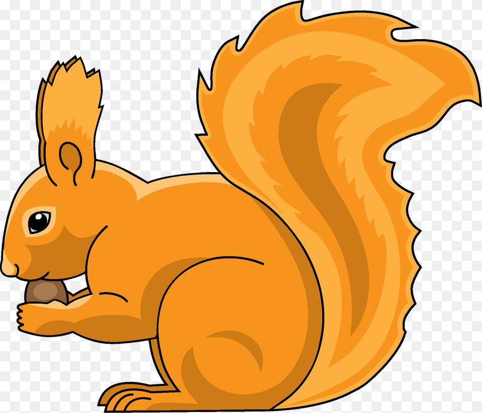 Squirrel Clipart, Animal, Mammal, Rodent Png