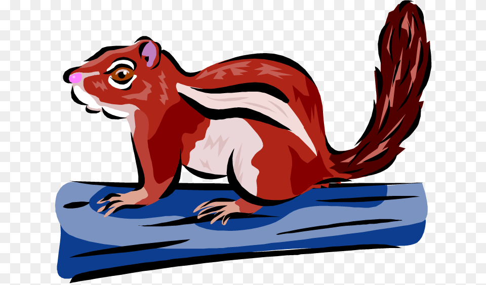 Squirrel Clipart, Animal, Mammal, Rodent, Person Png Image