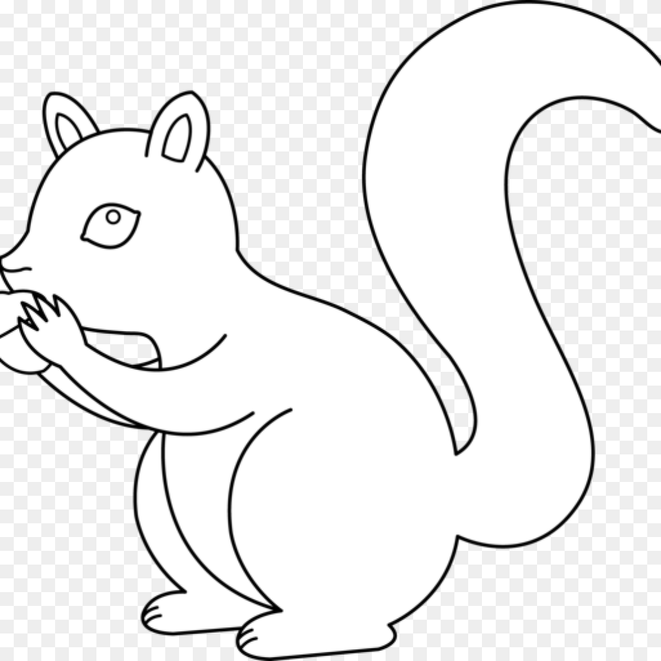 Squirrel Clipart Black And White Vector With Acorn Sitting, Stencil, Animal, Mammal, Rodent Free Transparent Png