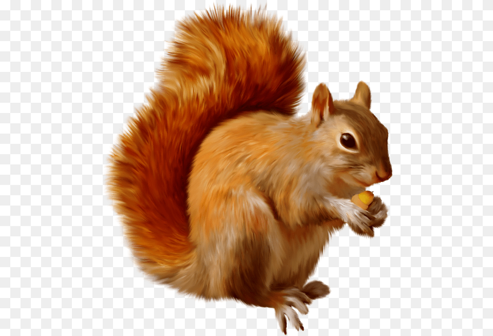 Squirrel Clipart M Squirrel Clipart, Animal, Mammal, Rodent, Bird Png Image