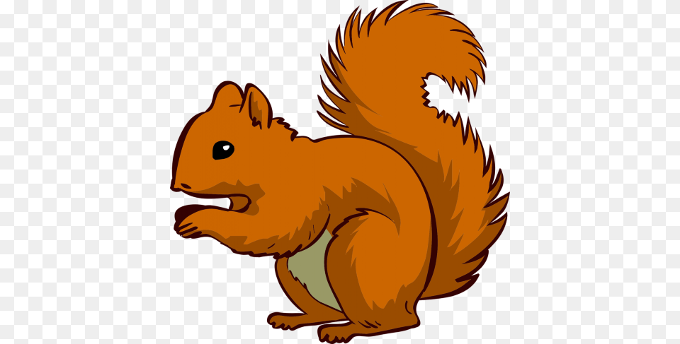 Squirrel Clipart Nice Clip Art, Animal, Mammal, Rodent, Baby Png
